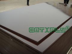 Film Faced Shuttering Plywood, Film Wiremeshed Plywood
